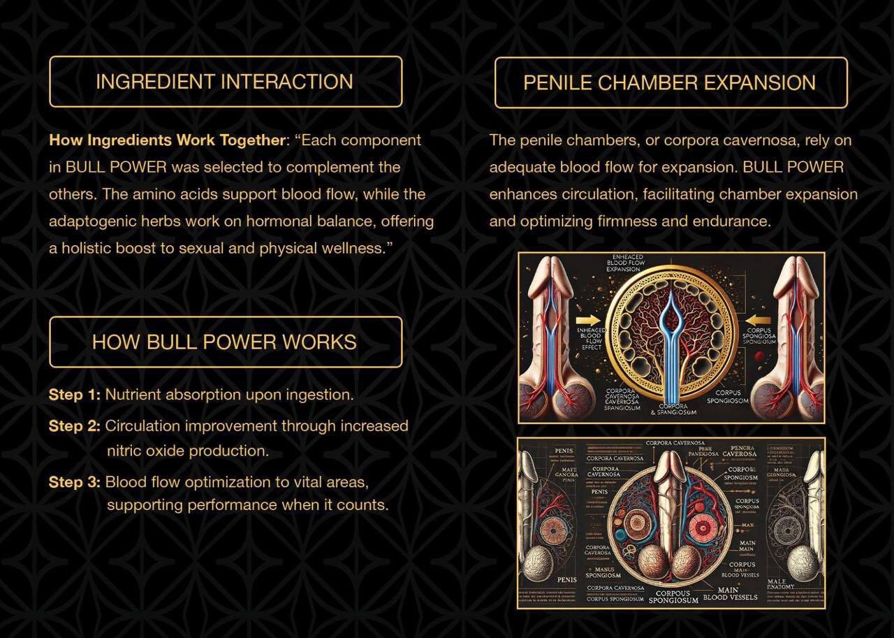 Diagram of penile chamber expansion